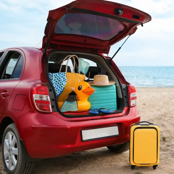 controllo-auto-rozzano