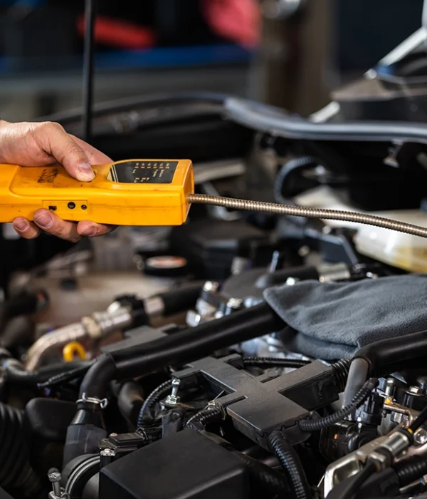 tagliando-gpl-rozzano